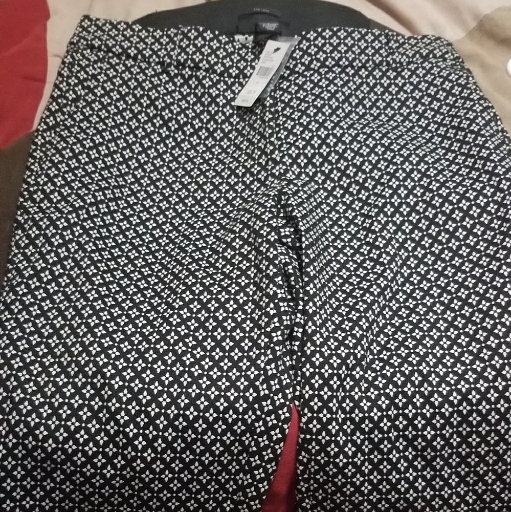 Lane Bryant pants